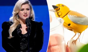 Loja do Brooklyn rebate crítica de Kelly Clarkson e fala em mal-entendido