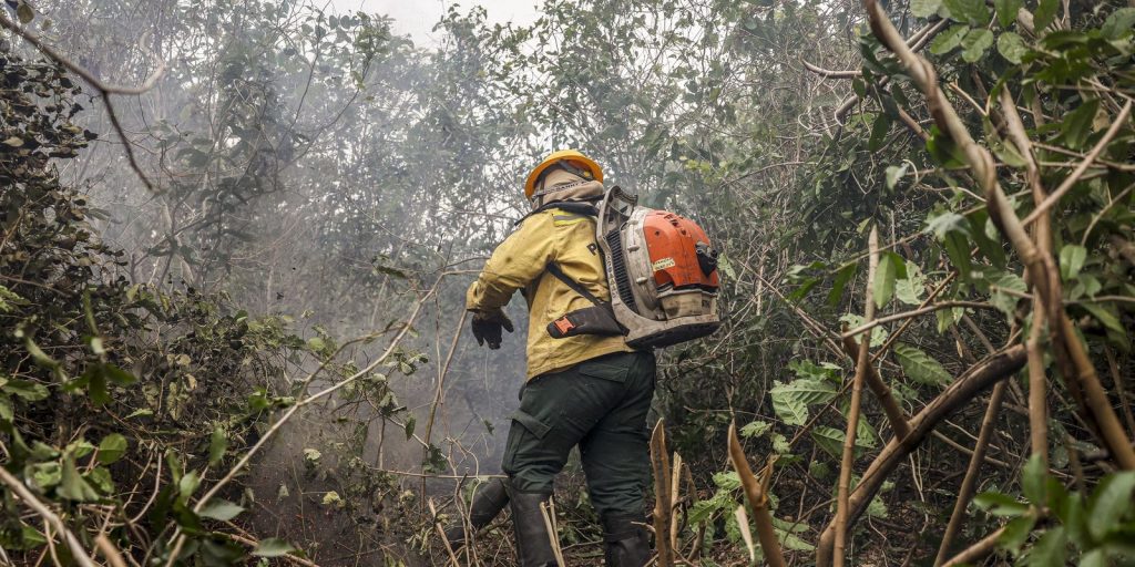 Amazonas registra 540 focos de incêndio em 48 horas e ministro aponta ação humana intencional