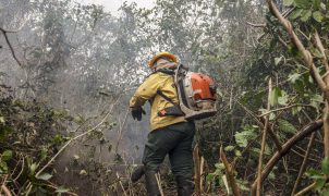 Amazonas registra 540 focos de incêndio em 48 horas e ministro aponta ação humana intencional