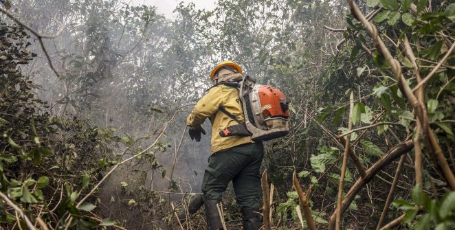 Amazonas registra 540 focos de incêndio em 48 horas e ministro aponta ação humana intencional