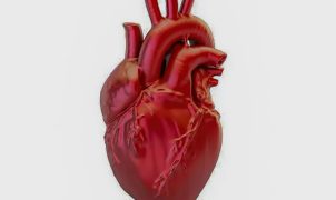 Brasil registra uma morte cardiovascular a cada 72 segundos e projeção aponta alta até 2030