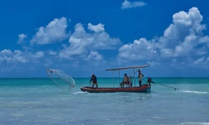 Consulta pública vai revisar regras de pesca amadora e esportiva até 18 de novembro