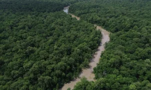 Amazônia e Cerrado registram menor desmatamento das séries históricas, diz governo