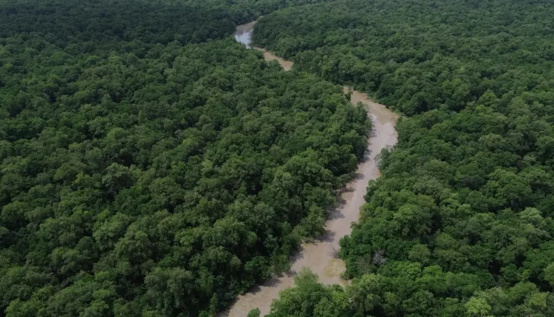 Amazônia e Cerrado registram menor desmatamento das séries históricas, diz governo