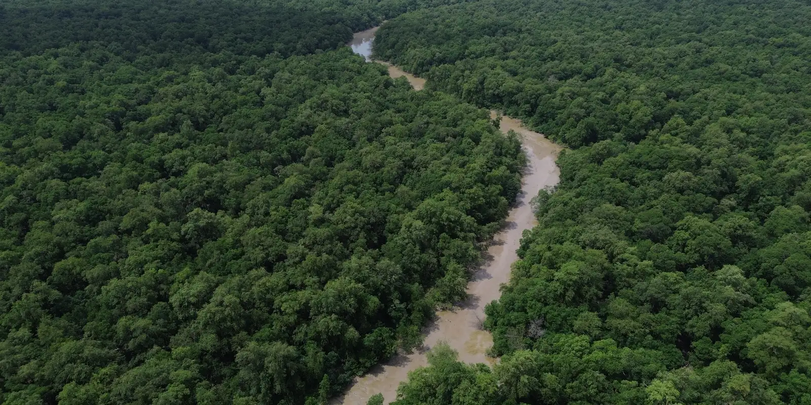 Amazônia e Cerrado registram menor desmatamento das séries históricas, diz governo