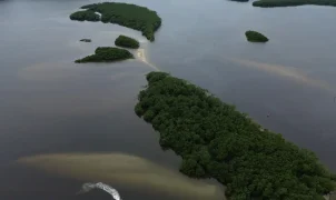 COP17 termina com balanço negativo sobre metas globais de biodiversidade