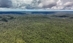Desmatamento recua a mínimas históricas na Amazônia e no Cerrado, diz governo