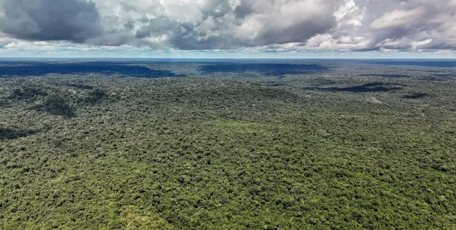 Desmatamento recua a mínimas históricas na Amazônia e no Cerrado, diz governo