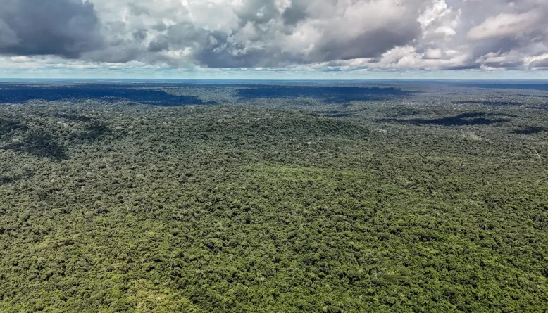 Desmatamento recua a mínimas históricas na Amazônia e no Cerrado, diz governo