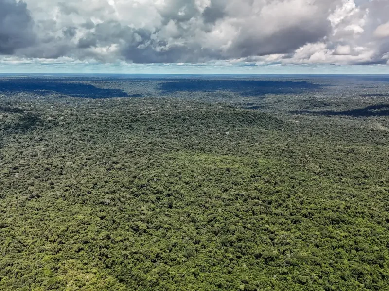 Desmatamento recua a mínimas históricas na Amazônia e no Cerrado, diz governo