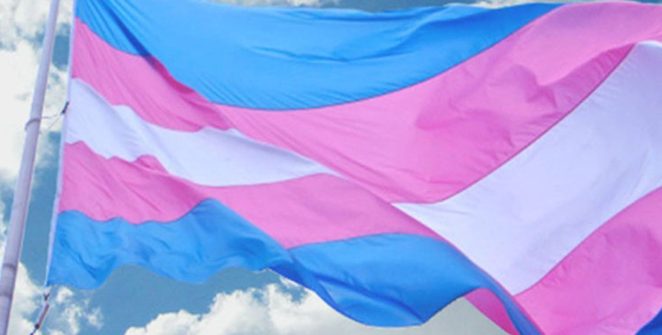 Mutirão no DF vai facilitar retificação de nome e gênero de pessoas trans