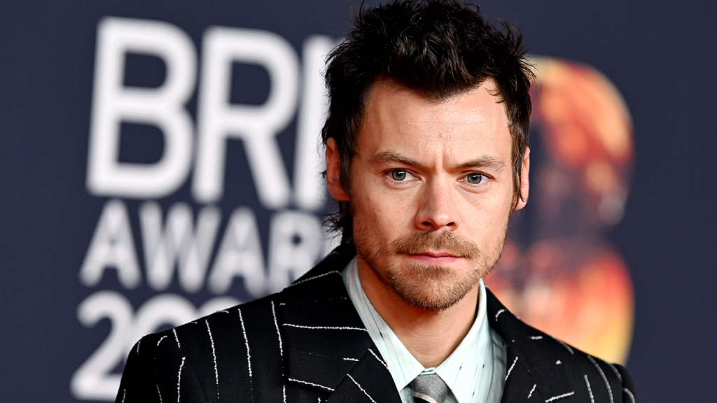 Harry Styles interrompe show em Nova York para pedir dignidade e justiça após imigrante ser baleado por agentes do ICE