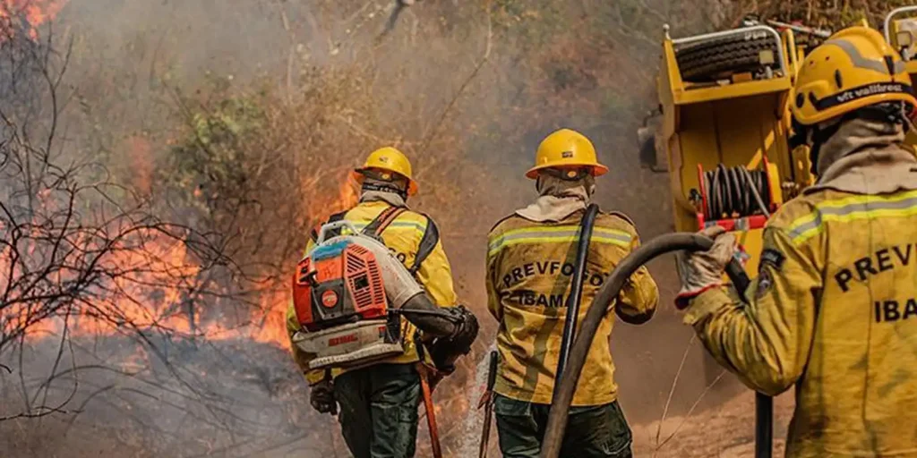 Amazonas recebe reforço aéreo e equipe de SP para conter queimadas