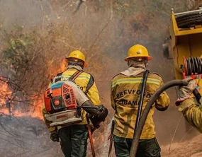 Amazonas recebe reforço aéreo e equipe de SP para conter queimadas