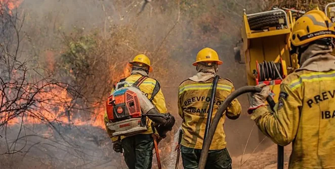 Amazonas recebe reforço aéreo e equipe de SP para conter queimadas