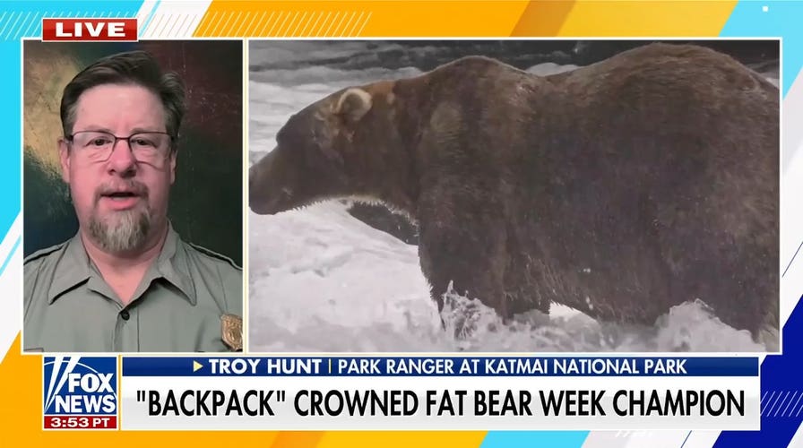 Rob Havenstein, ex-linha ofensiva do Rams, caça urso-pardo gigante no Alasca após se aposentar
