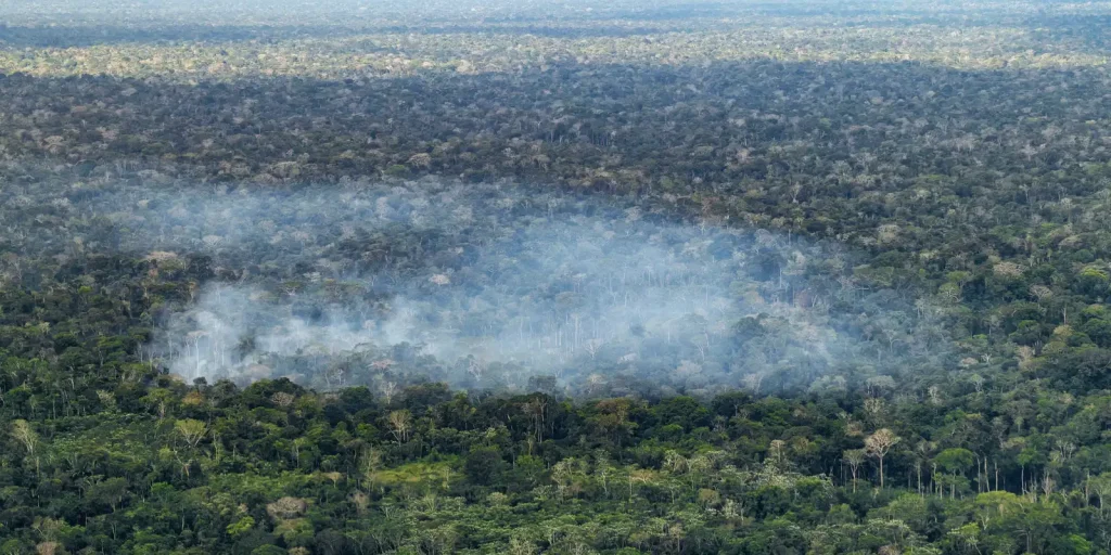 Desmatamento e queimadas lideram emissões de carbono na Amazônia, aponta estudo de 15 anos