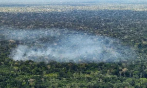 Desmatamento e queimadas lideram emissões de carbono na Amazônia, aponta estudo de 15 anos