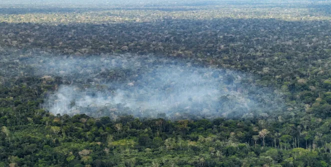 Desmatamento e queimadas lideram emissões de carbono na Amazônia, aponta estudo de 15 anos