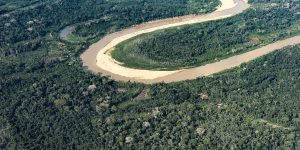 Amazônia e Cerrado registram menor desmatamento das séries históricas, aponta Inpe