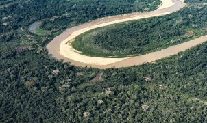 Amazônia e Cerrado registram menor desmatamento das séries históricas, aponta Inpe