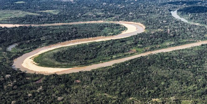 Países Baixos destinam US$ 500 milhões ao Fundo Florestas Tropicais em aporte de 10 anos