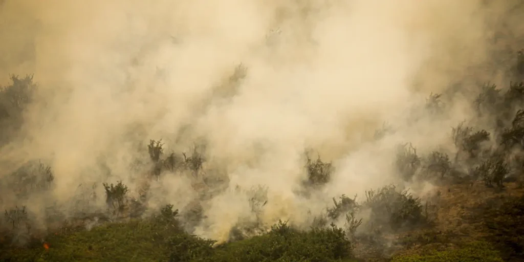 Incêndio na Terra Indígena Maxakali tem foco principal extinto após quatro dias