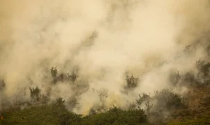 Incêndio na Terra Indígena Maxakali tem foco principal extinto após quatro dias