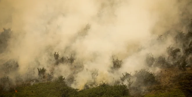 Incêndio na Terra Indígena Maxakali tem foco principal extinto após quatro dias