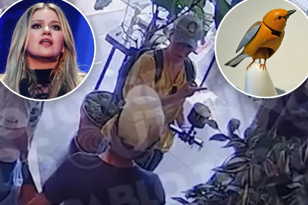 Vídeo de segurança mostra visita de Kelly Clarkson a loja no Brooklyn durante polêmica com pássaro