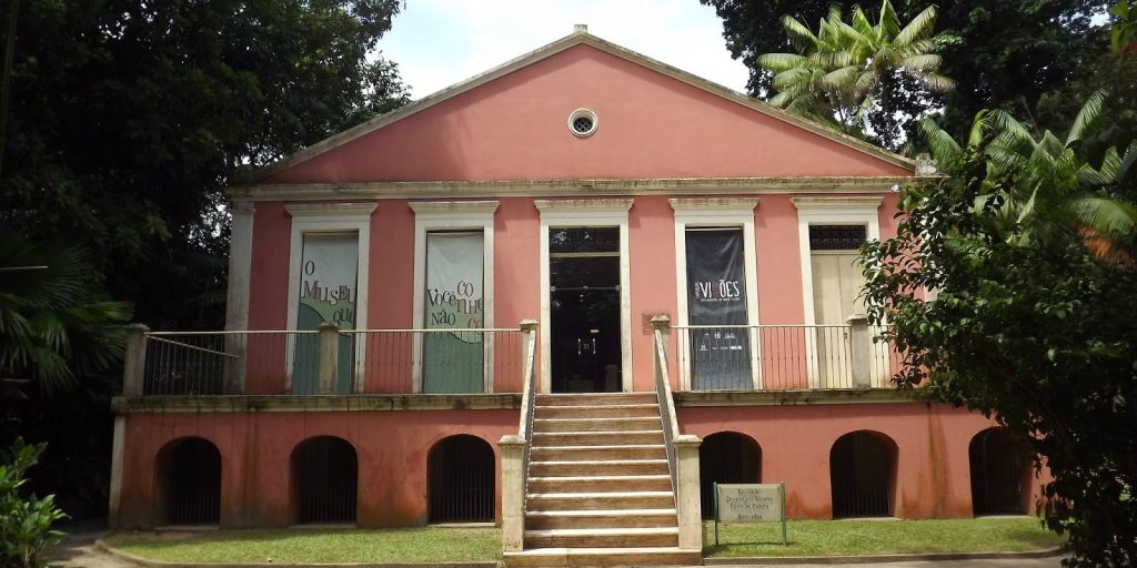 Museu Goeldi identifica seis novas espécies de moscas na Amazônia brasileira