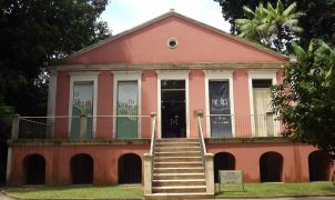 Museu Goeldi identifica seis novas espécies de moscas na Amazônia brasileira