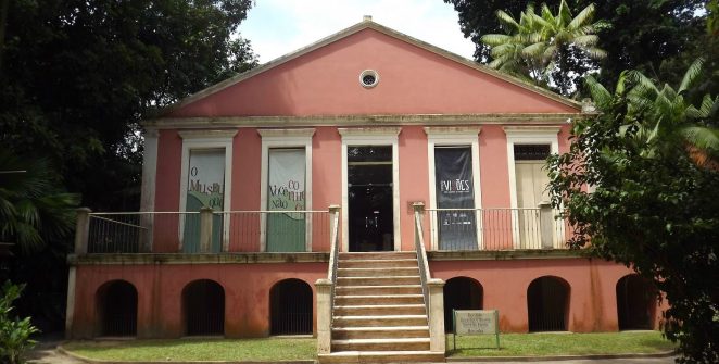 Museu Goeldi identifica seis novas espécies de moscas na Amazônia brasileira