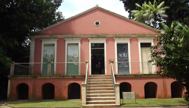 Museu Goeldi identifica seis novas espécies de moscas na Amazônia brasileira