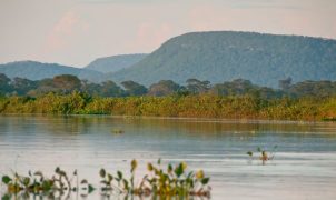 Cerrado perde 13,9 milhões de hectares de vegetação às margens de rios em 41 anos