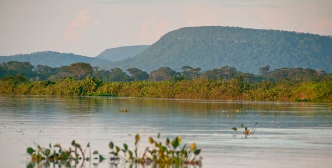 Cerrado perde 13,9 milhões de hectares de vegetação às margens de rios em 41 anos