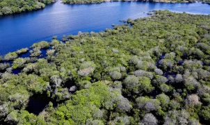Desmatamento em unidades de conservação cai 17% na Amazônia e 8% no Cerrado