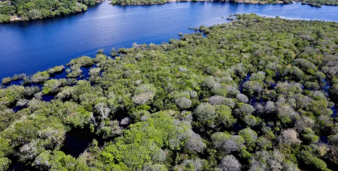 Desmatamento em unidades de conservação cai 17% na Amazônia e 8% no Cerrado