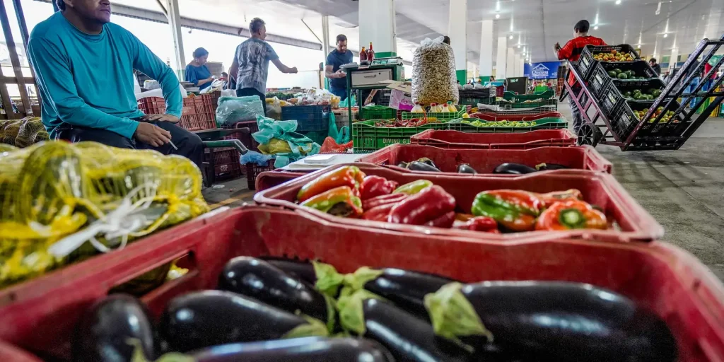 Programa Brasil Sem Desperdício lança campanha para reduzir descarte de alimentos