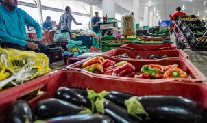Programa Brasil Sem Desperdício lança campanha para reduzir descarte de alimentos