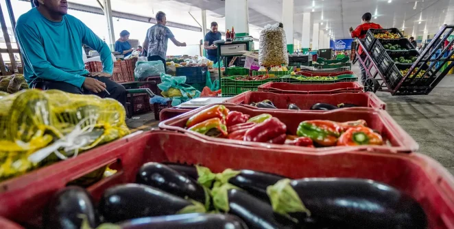 Programa Brasil Sem Desperdício lança campanha para reduzir descarte de alimentos