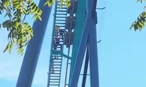 Eyewitnesses recount man's tragic death at Six Flags Over Georgia theme park