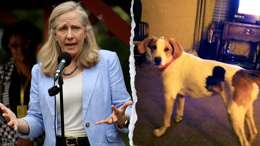 Legislador pede investigação após cão morto receber certificado de restauração de direitos na Virgínia