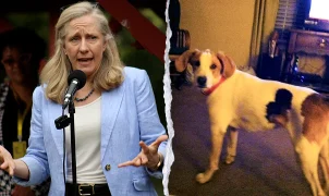Spanberger's office restores voting rights to dead dog, probe sought