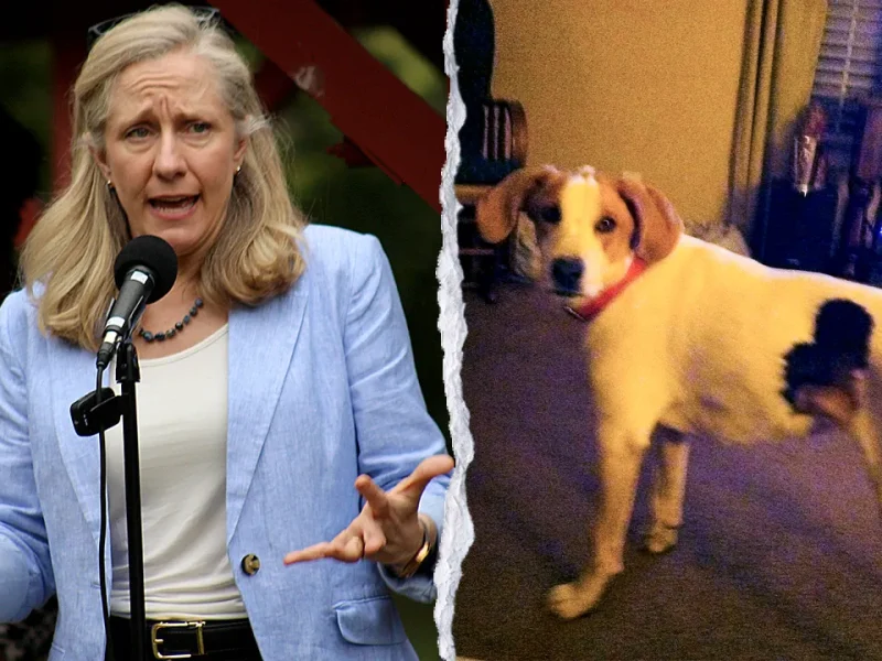 Spanberger's office restores voting rights to dead dog, probe sought