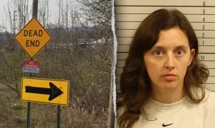 Chattanooga mom charged with DUI after cliff crash with kids in car