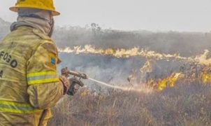 Amazonas mobiliza aeronaves e brigadistas para conter focos de incêndio