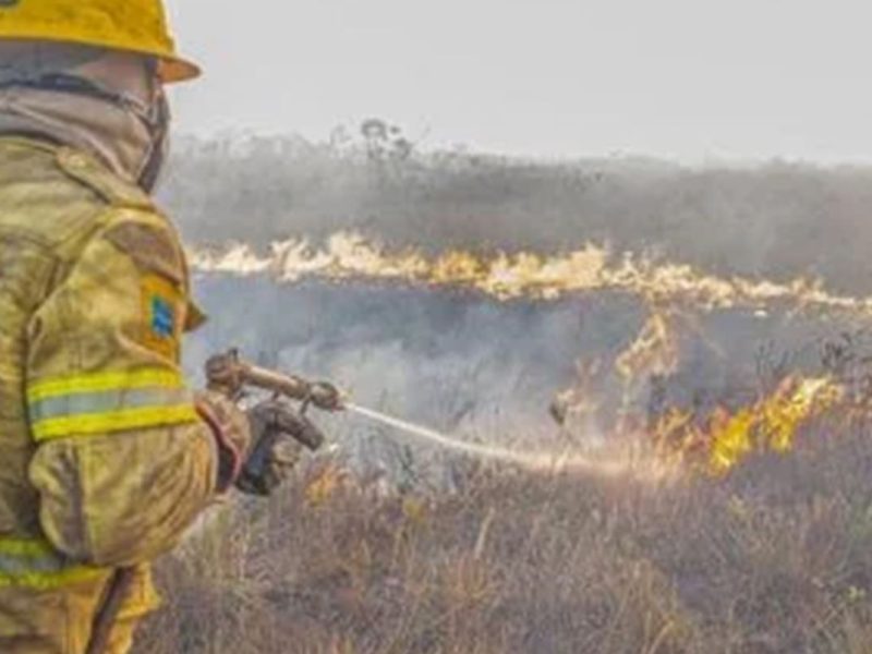 Amazonas mobiliza aeronaves e brigadistas para conter focos de incêndio