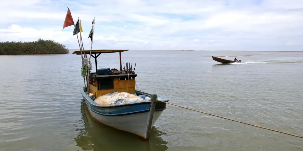 Pesca é liberada na foz do Rio Doce após dez anos de suspensão
