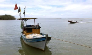 Pesca é liberada na foz do Rio Doce após dez anos de suspensão